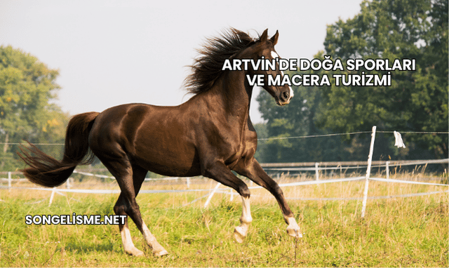 Artvin'de Doğa Sporları ve Macera Turizmi