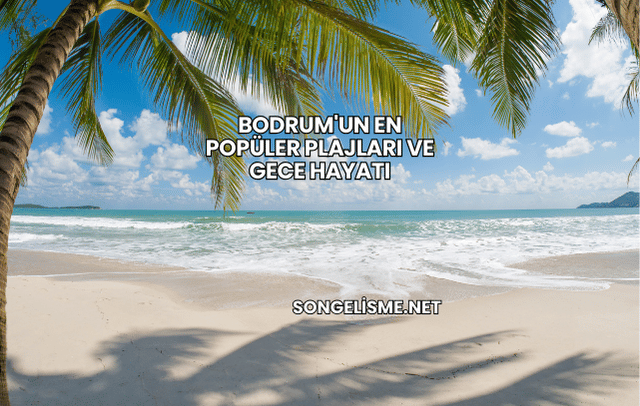 Bodrum'un En Popüler Plajları ve Gece Hayatı