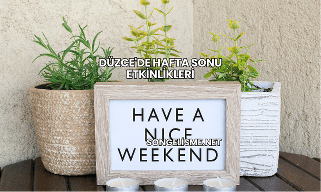 Düzce'de Hafta Sonu Etkinlikleri