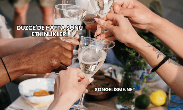 Düzce'de Hafta Sonu Etkinlikleri