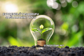 Evde Enerji Tasarrufu Sağlamanın 7 Yolu