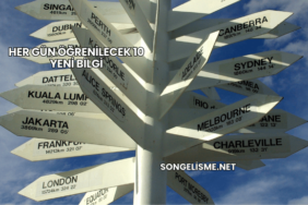 Her Gün Öğrenilecek 10 Yeni Bilgi