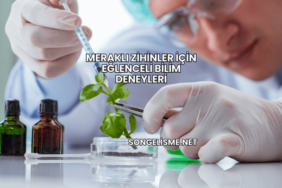 Meraklı Zihinler İçin Eğlenceli Bilim Deneyleri