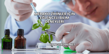 Meraklı Zihinler İçin Eğlenceli Bilim Deneyleri