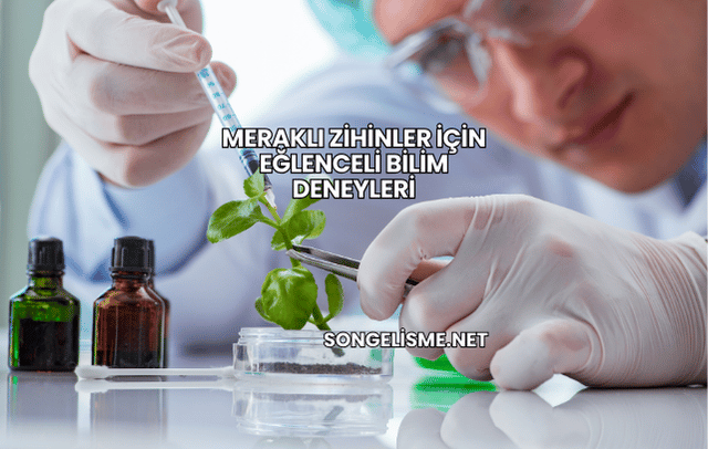 Meraklı Zihinler İçin Eğlenceli Bilim Deneyleri