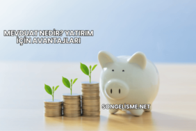 Mevduat Nedir? Yatırım İçin Avantajları