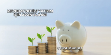Mevduat Nedir? Yatırım İçin Avantajları