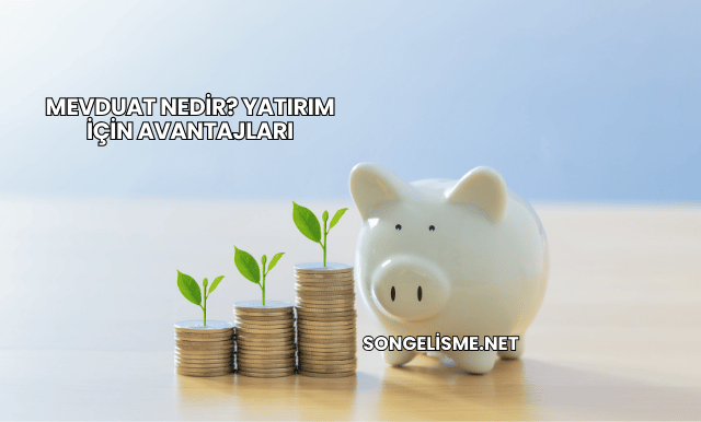 Mevduat Nedir? Yatırım İçin Avantajları