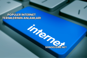 Popüler İnternet Terimlerinin Anlamları