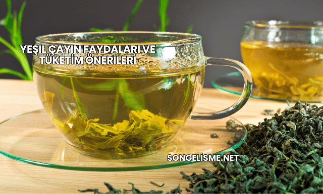 Yeşil Çayın Faydaları ve Tüketim Önerileri