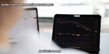 AVPGY Katılım Endeksine Uygun mu?
