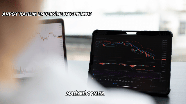 AVPGY Katılım Endeksine Uygun mu?