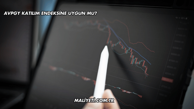 AVPGY Katılım Endeksine Uygun mu?