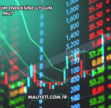 Ahes GYO Katılım Endeksine Uygun mu?