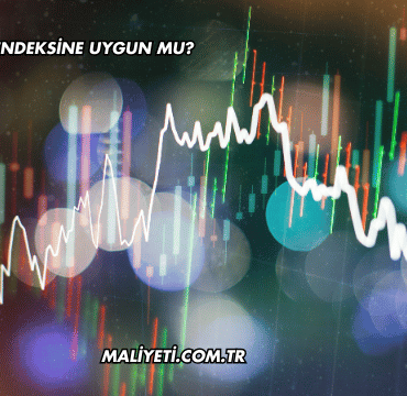 Alfas Katılım Endeksine Uygun mu?