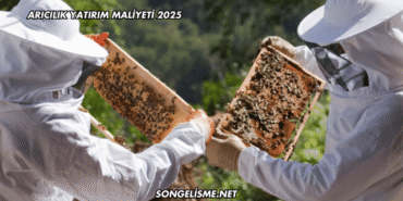 Arıcılık Yatırım Maliyeti 2025