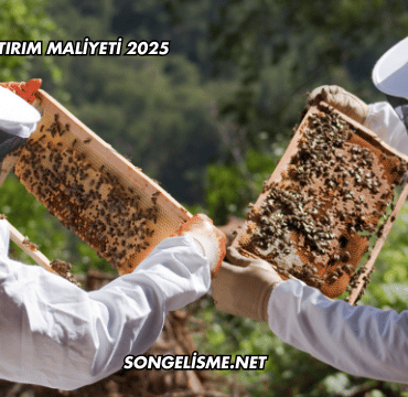 Arıcılık Yatırım Maliyeti 2025