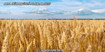 Arpa Ekim Maliyeti Ne Kadar 2025