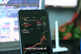 Aselsan Katılım Endeksine Uygun mu?
