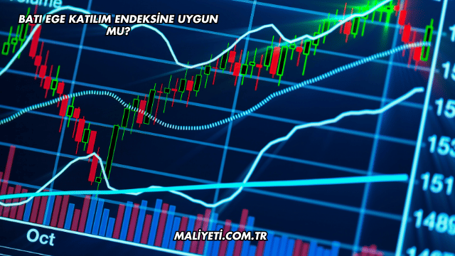 Batı Ege Katılım Endeksine Uygun mu?