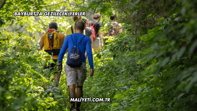 Bayburt'ta Gezilecek Yerler