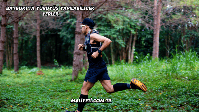 Bayburt'ta Yürüyüş Yapılabilecek Yerler