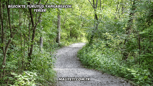 Bilecik'te Yürüyüş Yapılabilecek Yerler