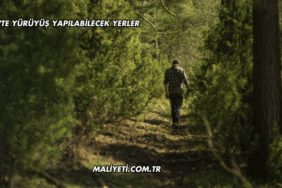 Bitlis'te Yürüyüş Yapılabilecek Yerler