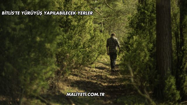 Bitlis'te Yürüyüş Yapılabilecek Yerler