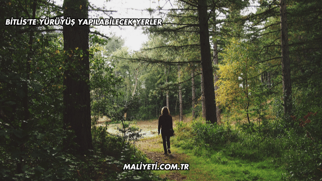 Bitlis'te Yürüyüş Yapılabilecek Yerler