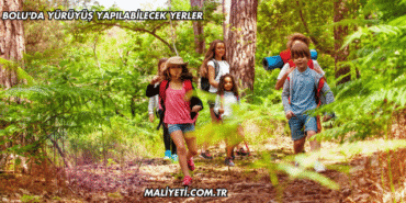 Bolu'da Yürüyüş Yapılabilecek Yerler