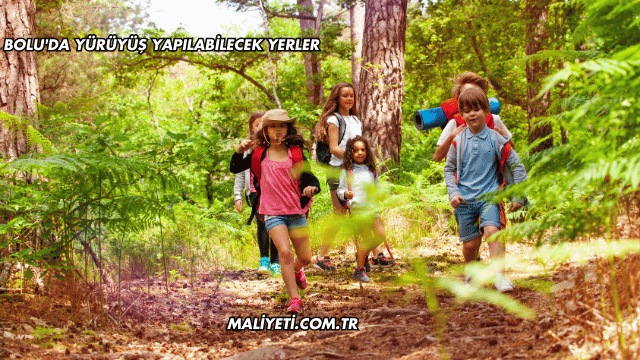 Bolu'da Yürüyüş Yapılabilecek Yerler