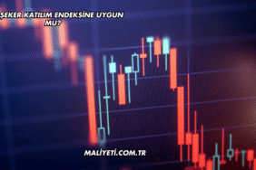 Bor Şeker Katılım Endeksine Uygun mu?