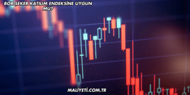 Bor Şeker Katılım Endeksine Uygun mu?