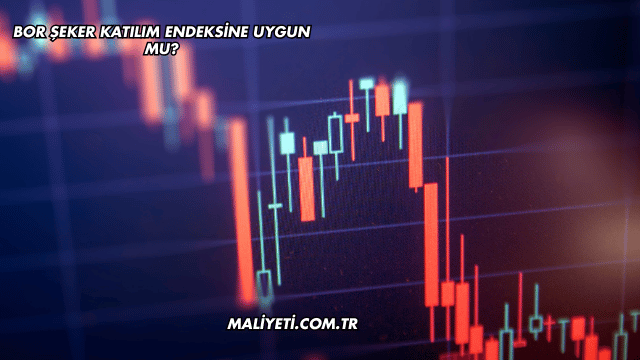 Bor Şeker Katılım Endeksine Uygun mu?