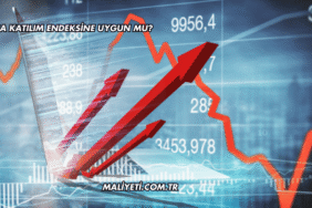 Borsa Katılım Endeksine Uygun mu?