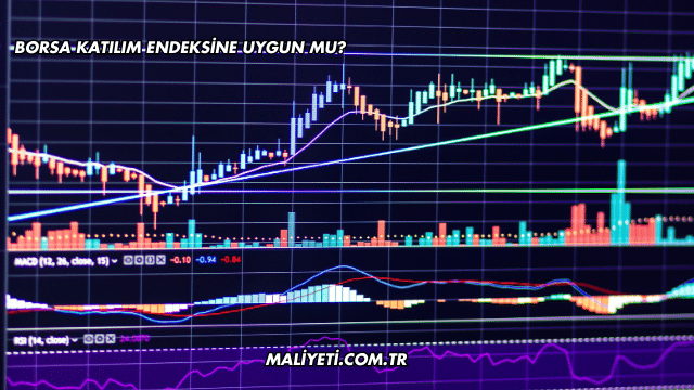 Borsa Katılım Endeksine Uygun mu?