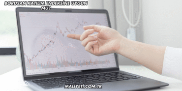 Borusan Katılım Endeksine Uygun mu?