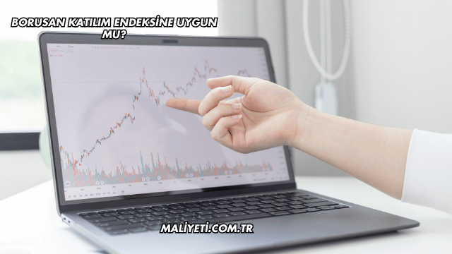 Borusan Katılım Endeksine Uygun mu?