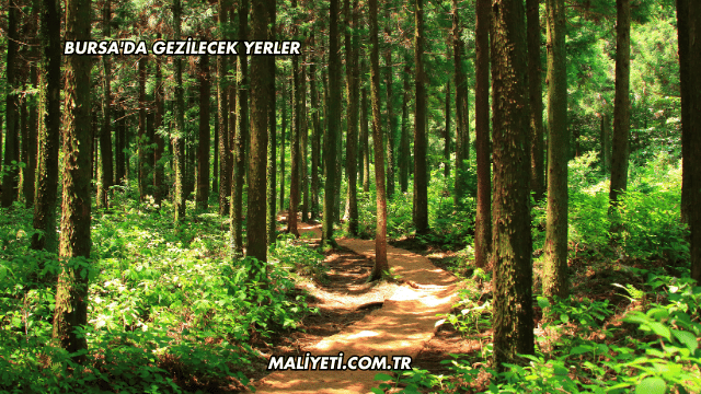 Bursa'da Gezilecek Yerler