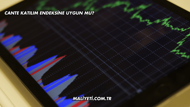 CANTE Katılım Endeksine Uygun mu?