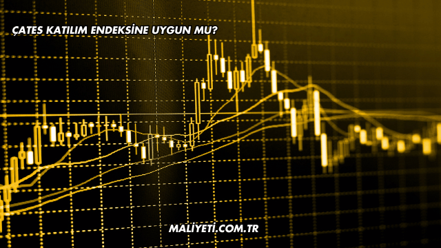 ÇATES Katılım Endeksine Uygun mu?