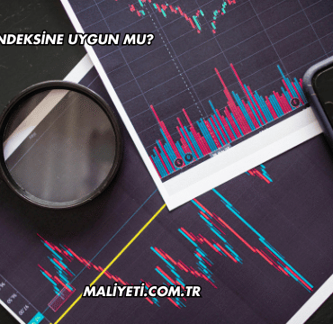 DMR Katılım Endeksine Uygun mu?