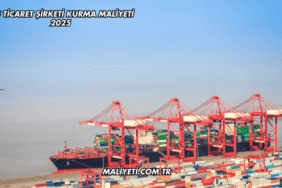Dış Ticaret Şirketi Kurma Maliyeti 2025