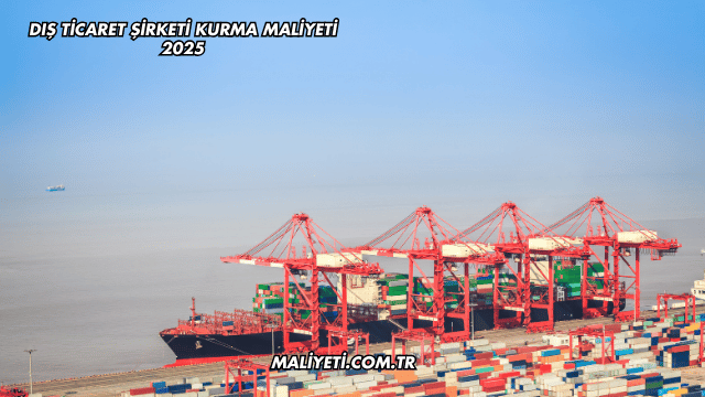 Dış Ticaret Şirketi Kurma Maliyeti 2025