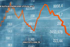 Dofer Katılım Endeksine Uygun mu?