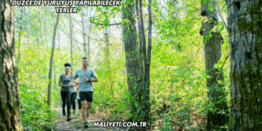 Düzce'de Yürüyüş Yapılabilecek Yerler