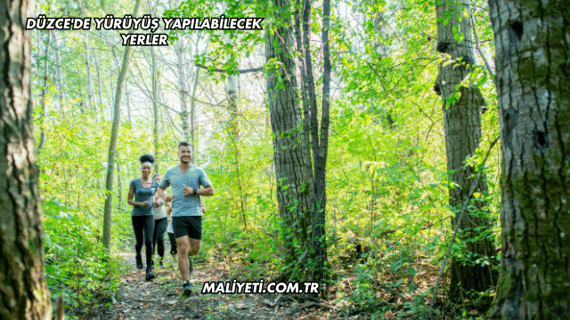 Düzce'de Yürüyüş Yapılabilecek Yerler