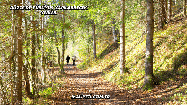 Düzce'de Yürüyüş Yapılabilecek Yerler