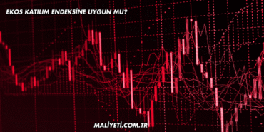 Ekos Katılım Endeksine Uygun mu?